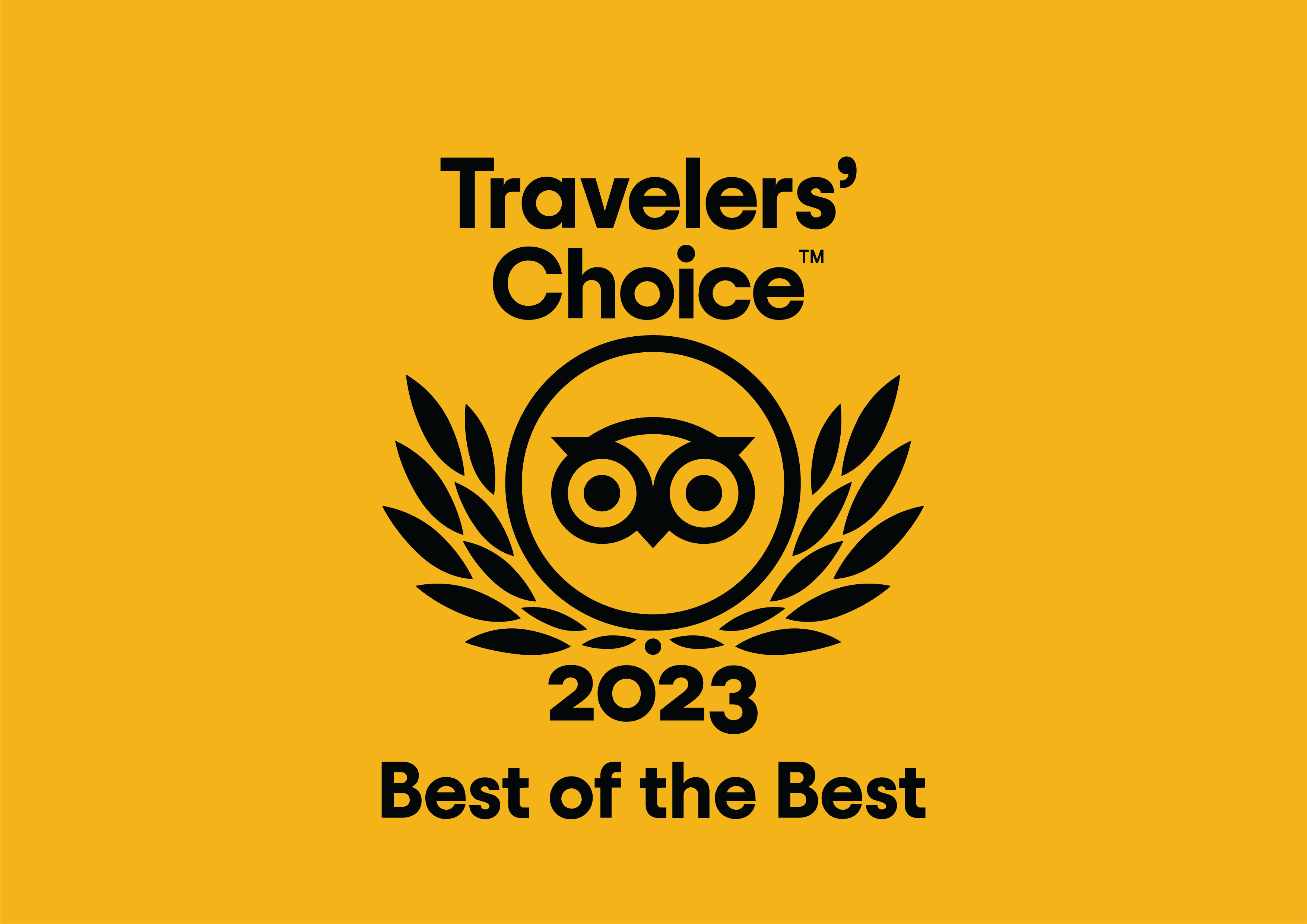 Travelers Choice - Icon